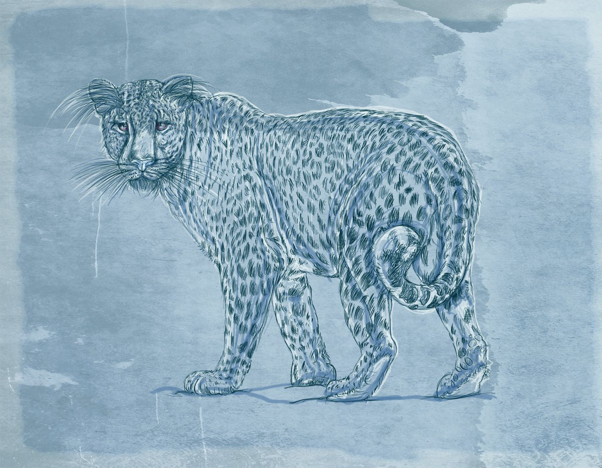 blue cheetah by silvia gaudenzi