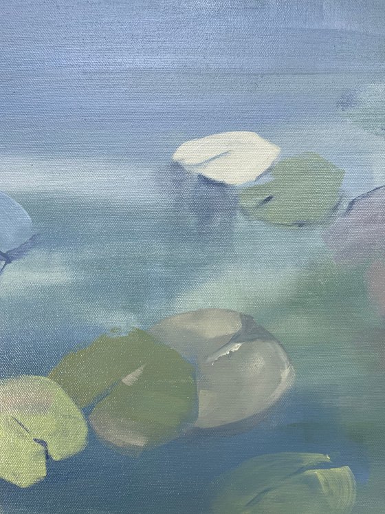 Waterlilies