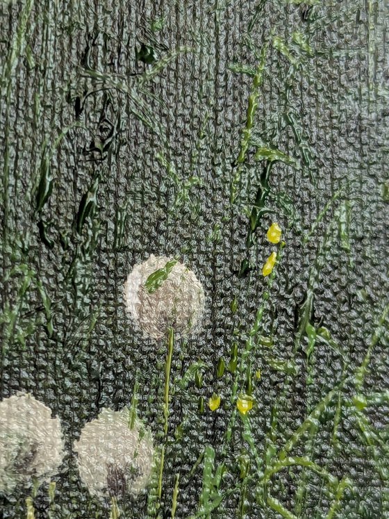 Dandelion Meadow at Sunrise