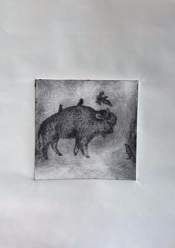 Buffalo And Starlings