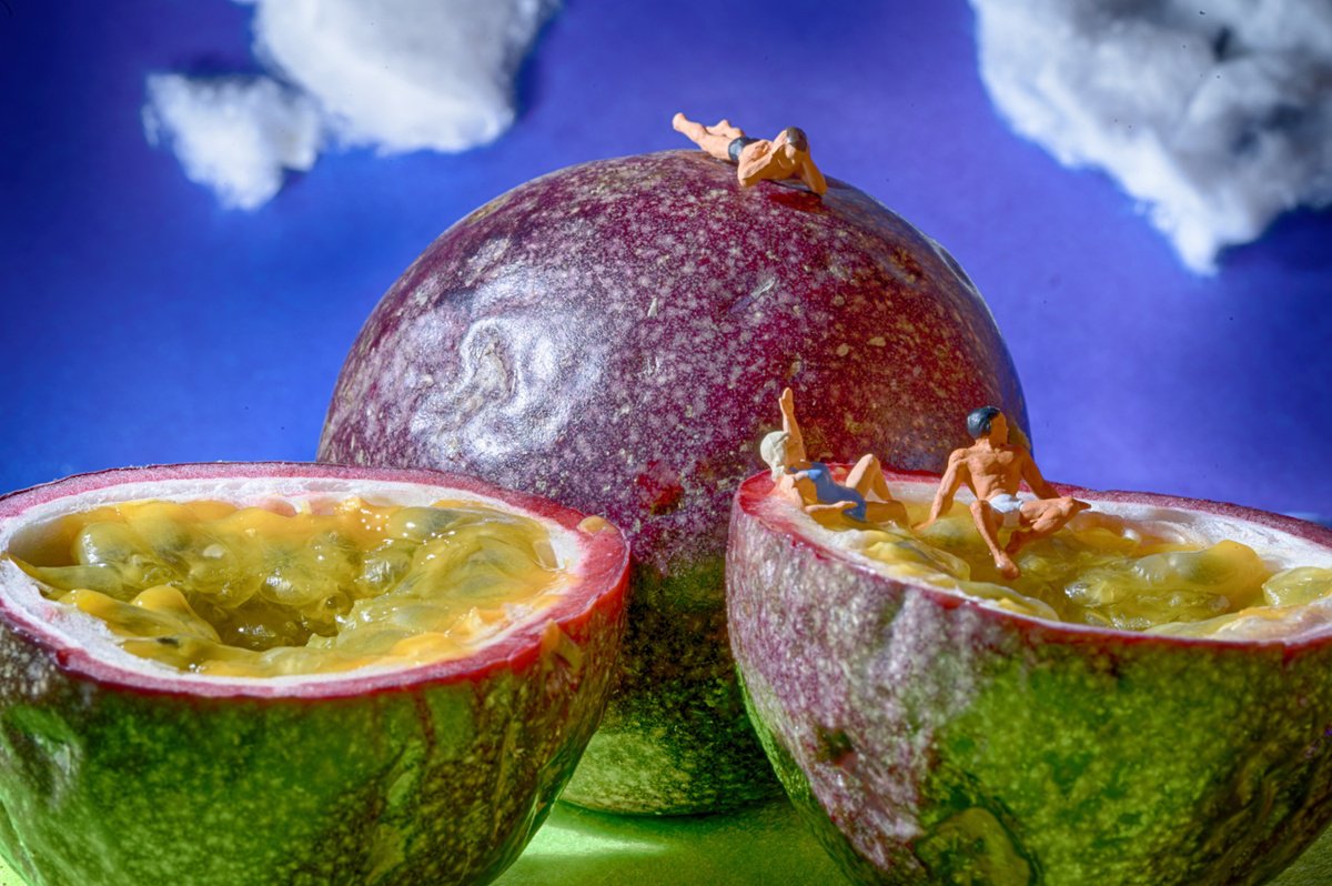 Organic Abstract Photograph By Marc Ehrenbold, 40 X 30", Passionate Sunbathing, Original Artwork