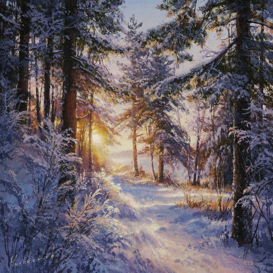 Warm winter light