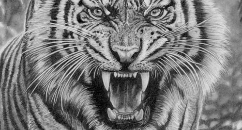 Artwork by Paul Stowe