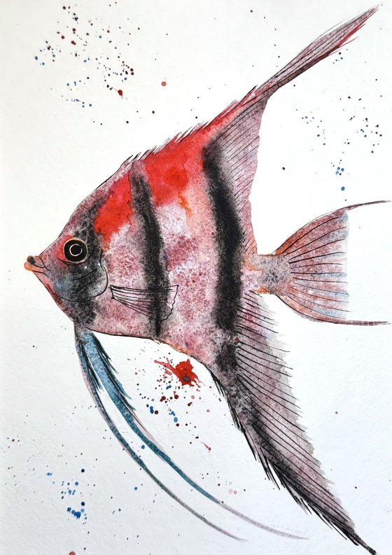 Exotic Trpoical Colorful fish