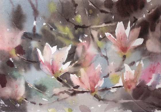 Magnolia blossom