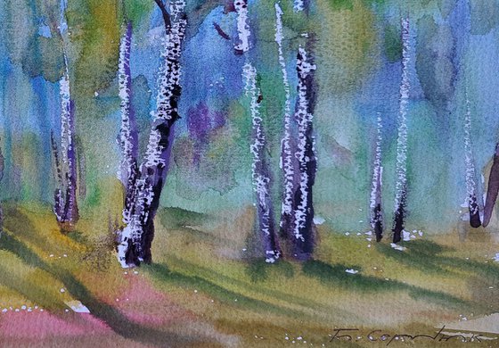 Spring in the birches