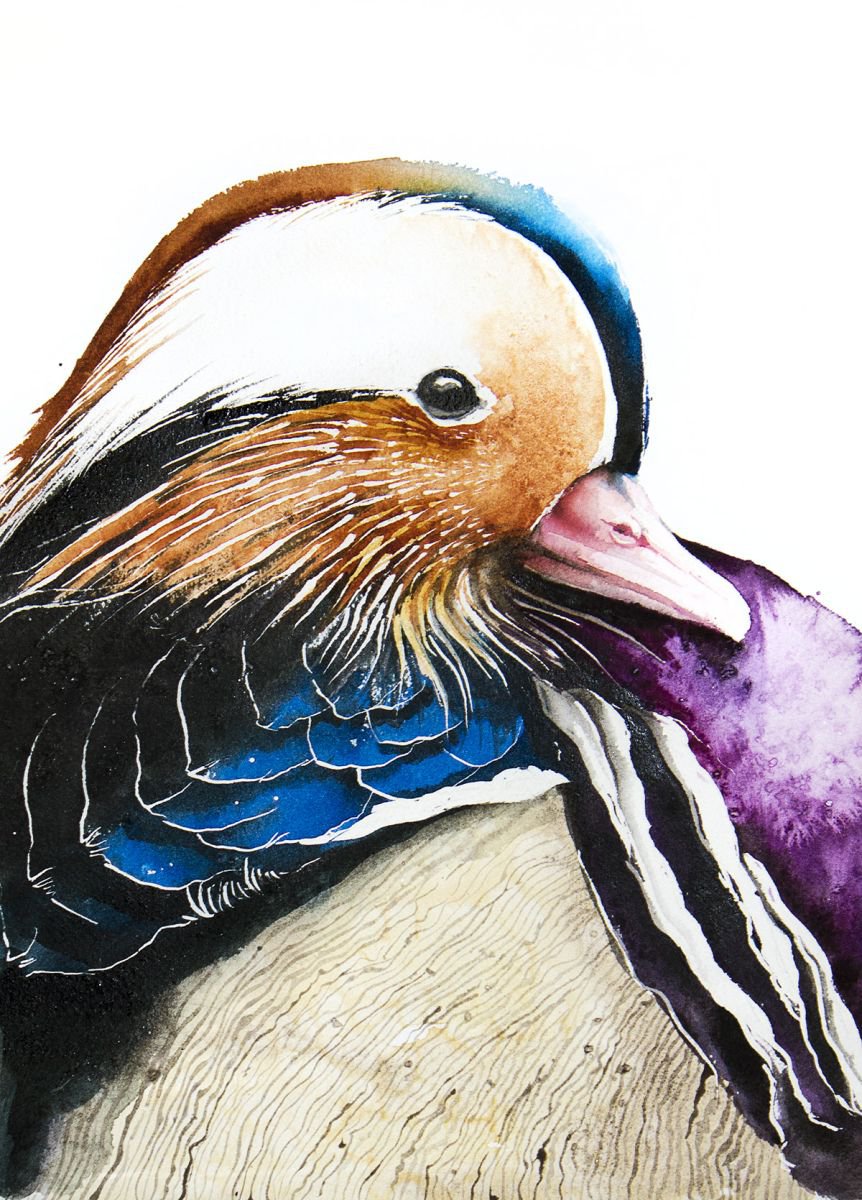Mandarin Duck, bird, birds, animals, wildlife watercolour painting by Karolina Kijak