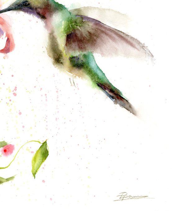 Green Hummingbird and flower