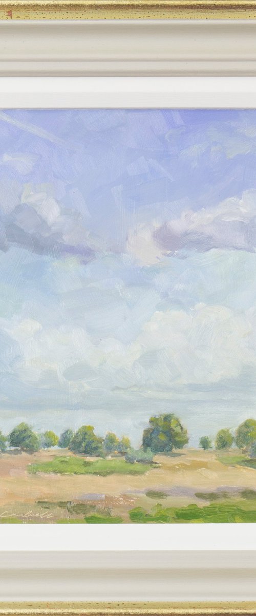 Summer Skies, Richmond by Matthew Cordwell
