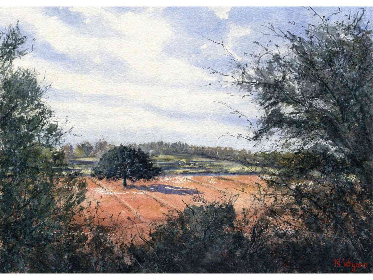 Impressionistic Landscape Watercolour By Neil Wrynne, 15 X 11", Burnt Orange Field Summers Day, Original Artwork