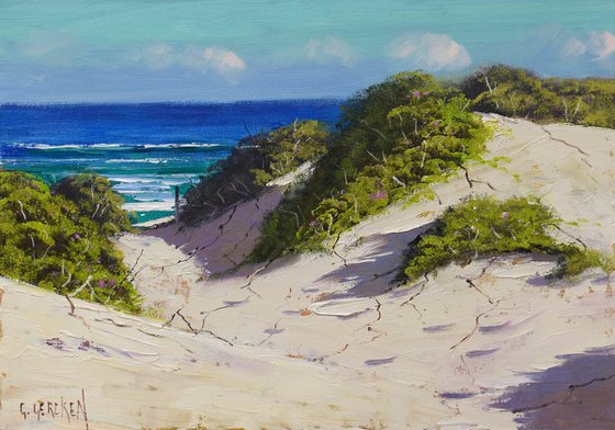 Sand Dunes to the Ocean Beach