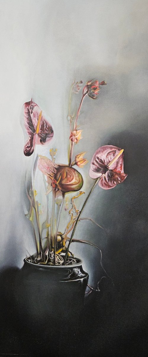 ANTHURIUM by Stefano Mazzolini