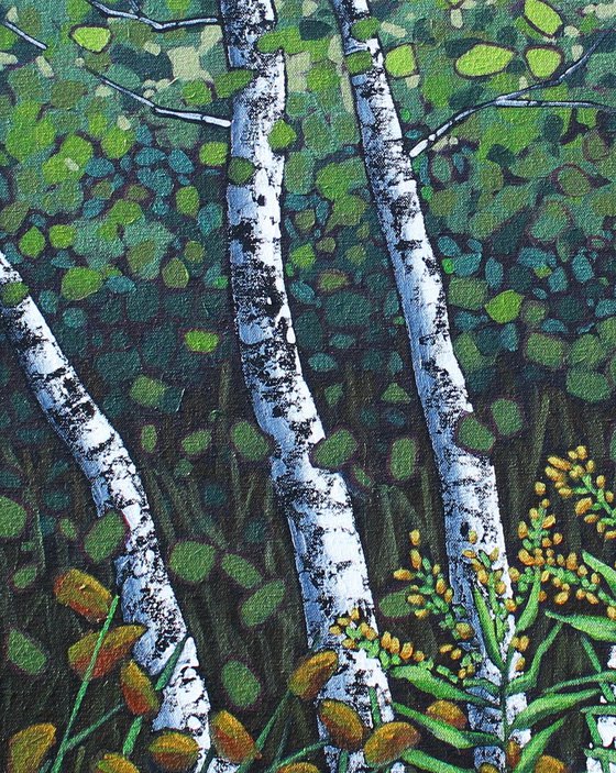 Birches with Goldenrod