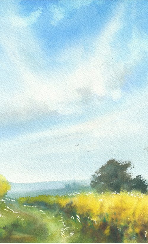 "A raps field" by Merite Watercolour