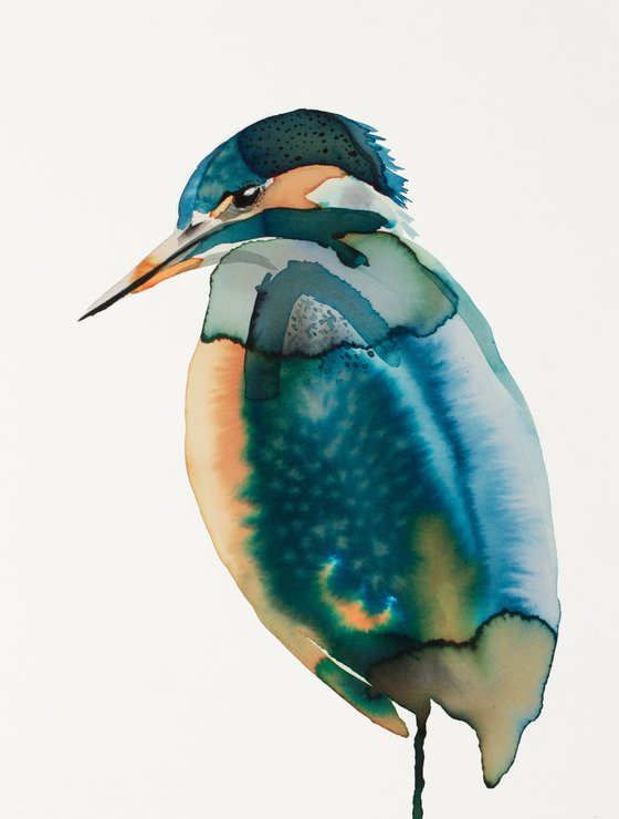 Kingfisher No. 3