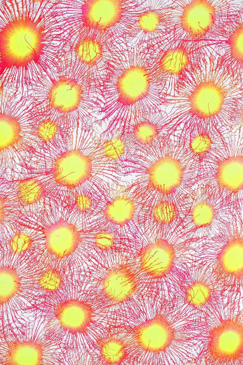 Abstract Acrylic Painting By Sumit Mehndiratta, 33 X 47", Neoflora Series No. 03, Original Artwork