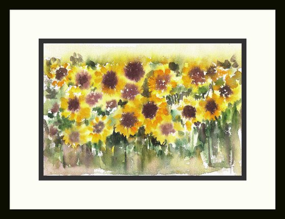 Sunflowers Sunny and cheerful