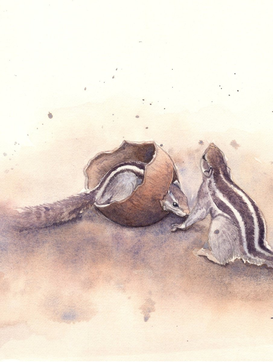Photorealistic Animal Watercolour By Shweta Mahajan, 8 X 8", Two Squirrels, Original Artwork