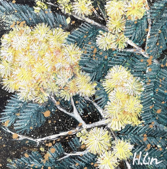 Written In Gold – Black Wattle