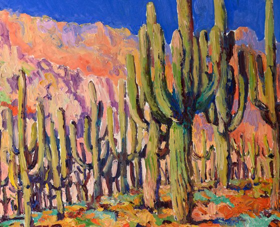 Saguaro Cactuses in the Desert