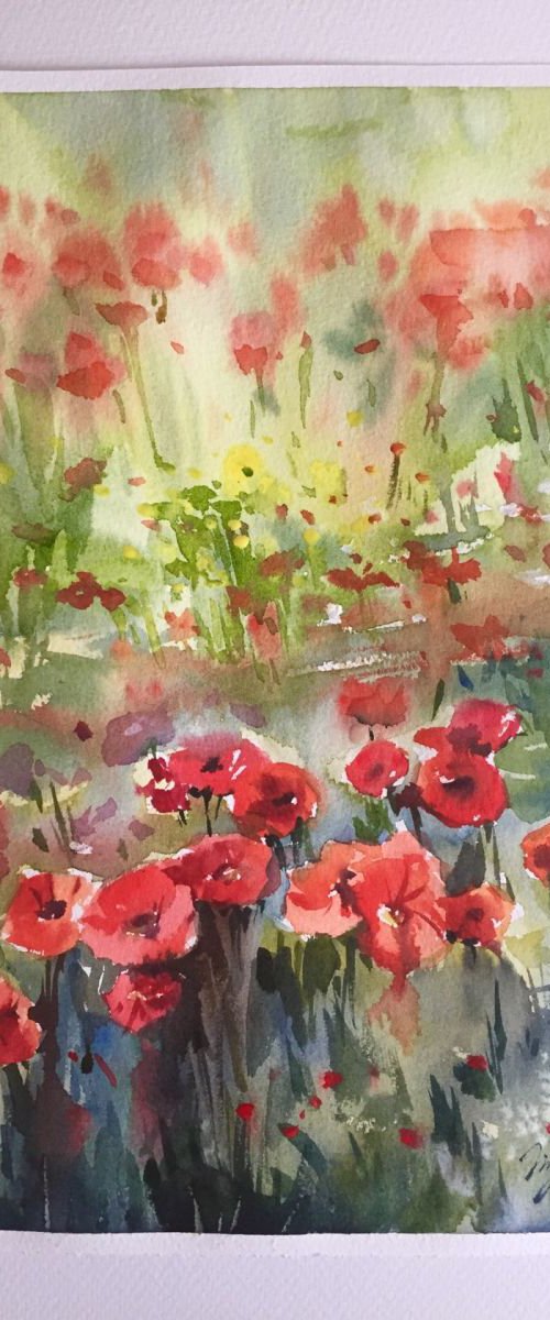 Poppies by Jing Chen