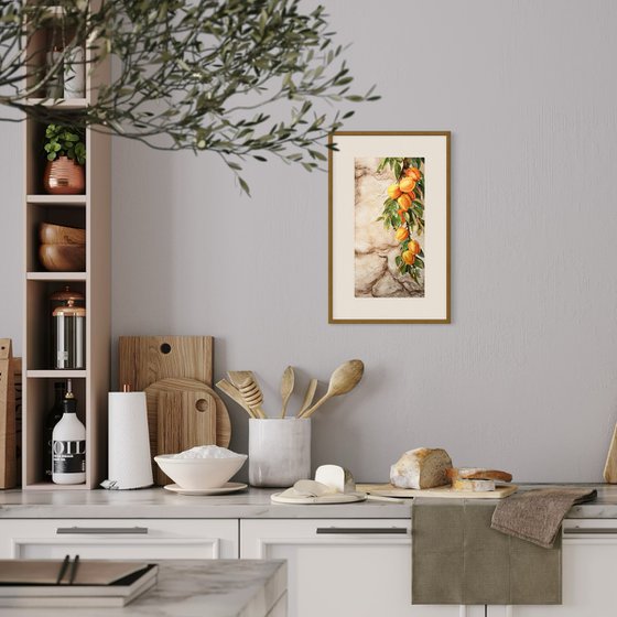 Whispers Through the Wall – Apricots