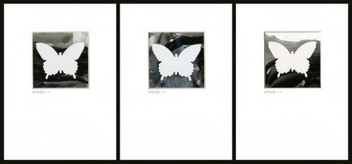 Butterfly Collage Collection 1 - 3 Minimalist Collages by Kathy Morton Stanion by Kathy Morton Stanion