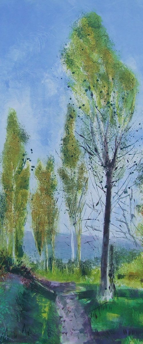 A walk through the Poplar trees by Amanda Averillo