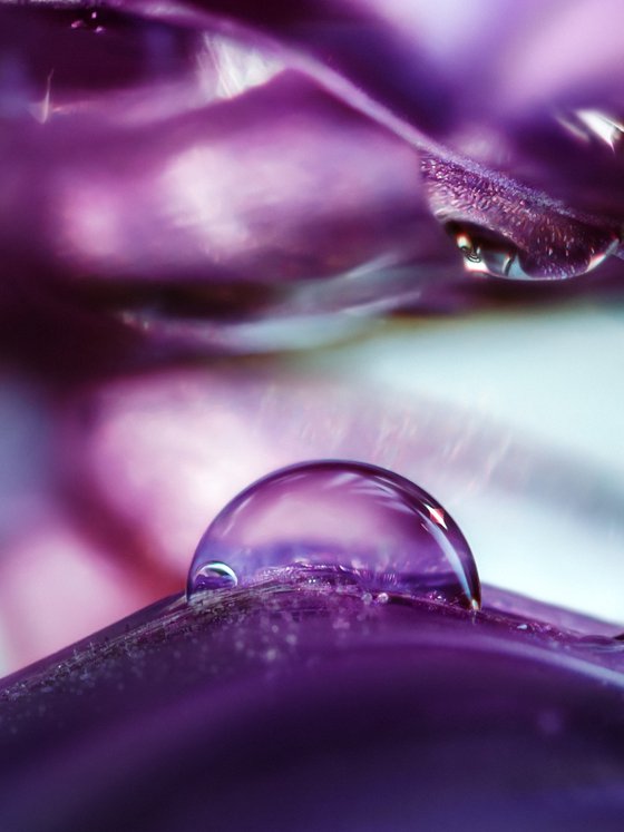 Onion Planet Dreamy Landscapes