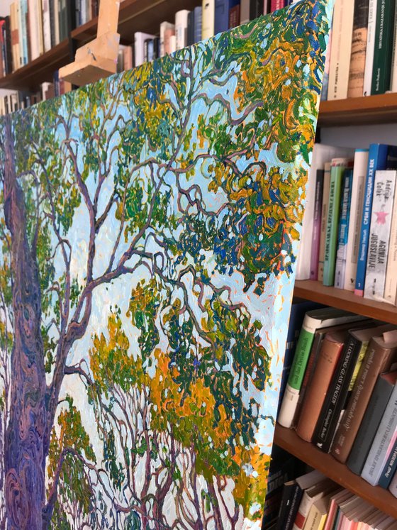 Beneath the Olive Canopy