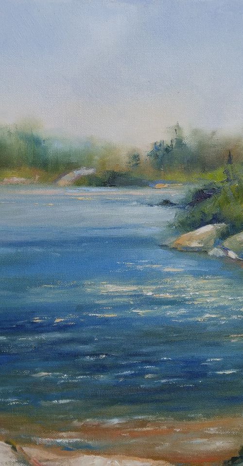 At the end of summer (plenair) 20x16'' by Alexander Koltakov
