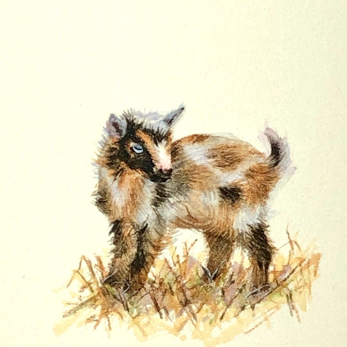 Baby goat miniature painting by Alina Karpova