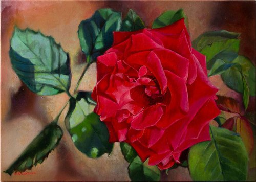 "Tango"  rose red flower  liGHt original painting  GIFT (2018) by Anna Bessonova (Kotelnik)