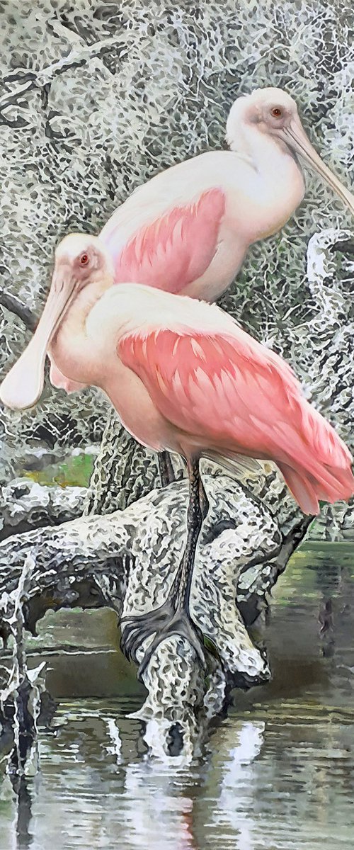 ROSEATE SPOONBILLS by Tatiana Rezvaya