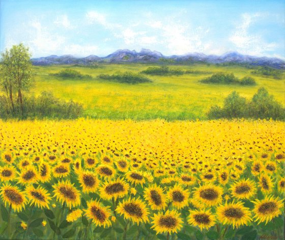 Sunflowers