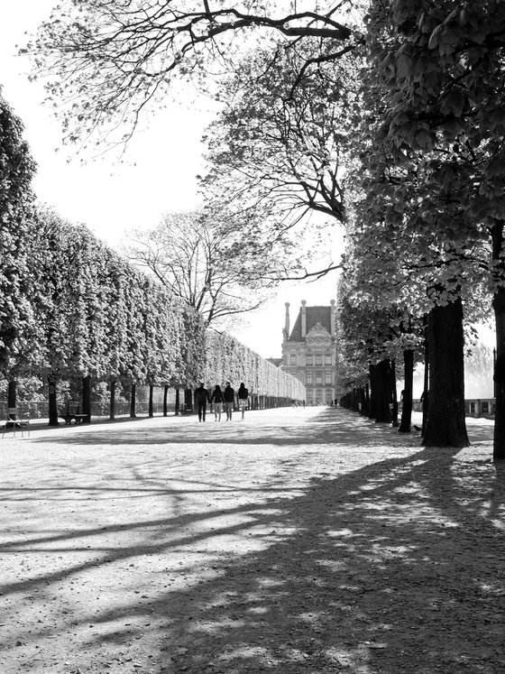 Jardin des Tuileries au printemps