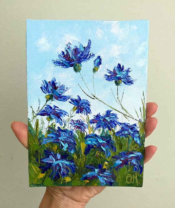 Lovely cornflowers