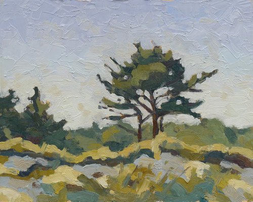 Pine near Preorw by Nikolai Kraneis