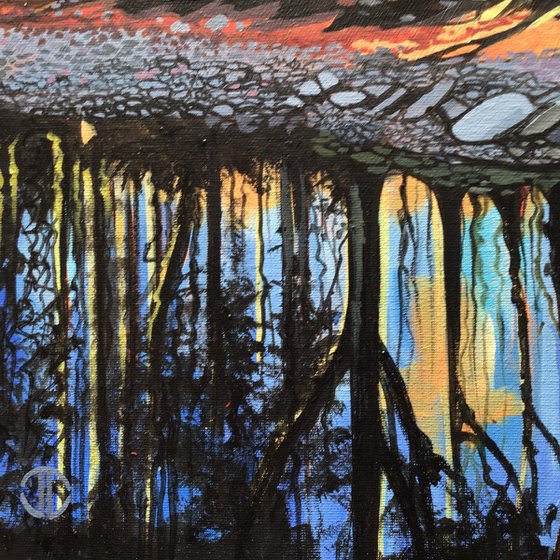 Stepping Stones On The Shimna