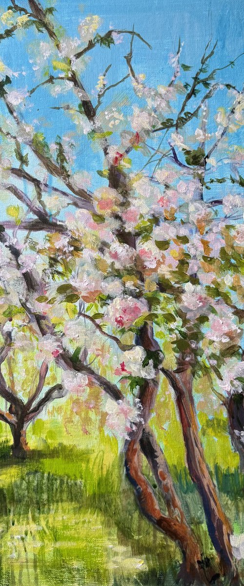 Apple orchard 1 by Ayse McGowan