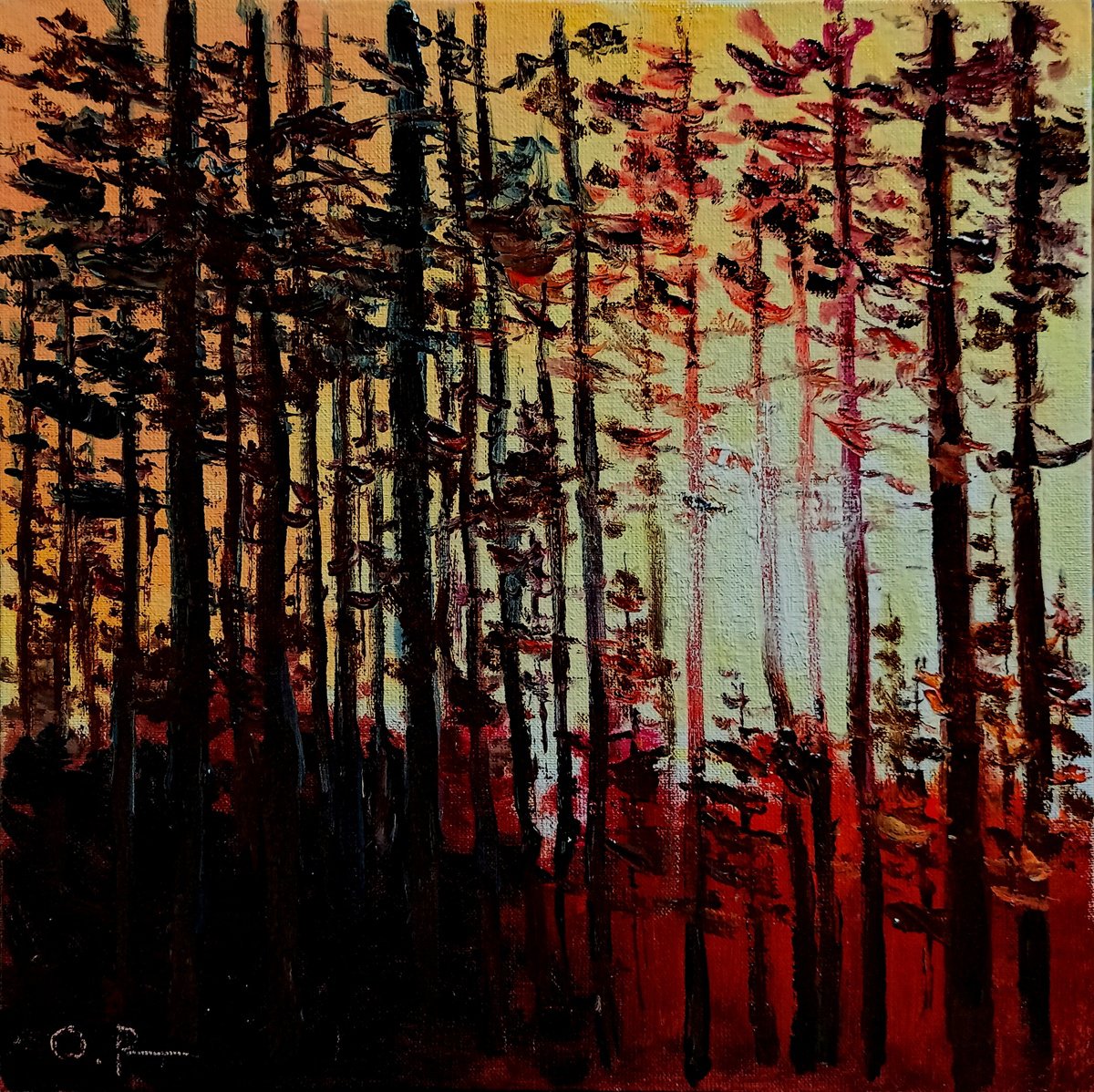 Impressionistic Landscape Oil Painting By Oleh Rak, 10 X 10", Sunset In The Forest, Original Artwork