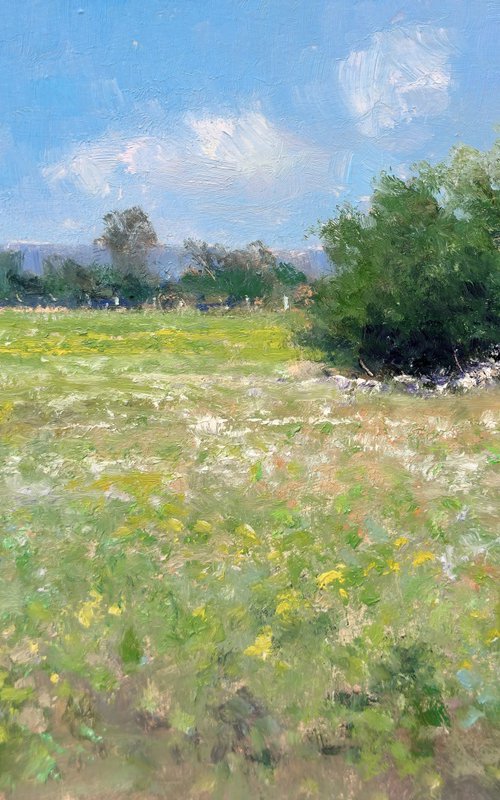 Meadow in Provence by Pascal Giroud
