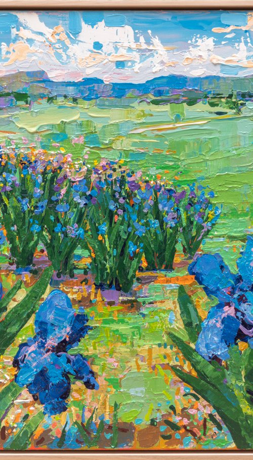 Tasman Lily Pond 50 by Joseph Villanueva