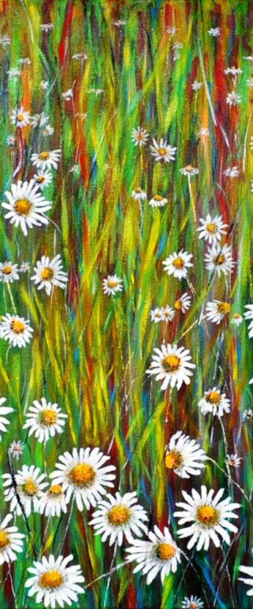 Daisies... by Daniel Urbaník
