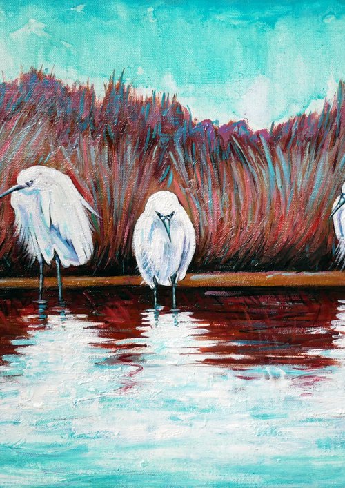 Egrets in Camargue by Lionel Le Jeune