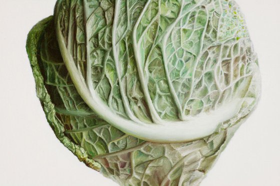 Bi-painting - Sofia/A savoy cabbage