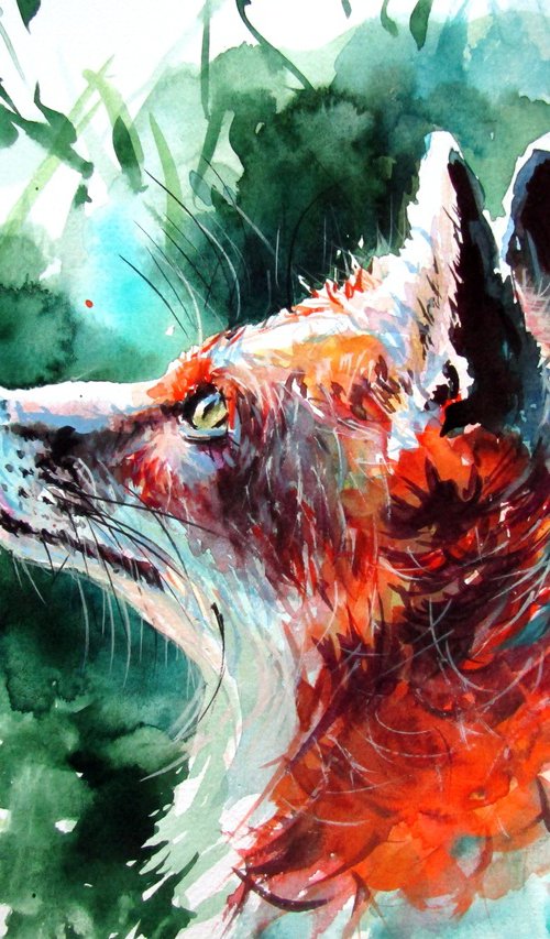 Red fox III by Kovács Anna Brigitta