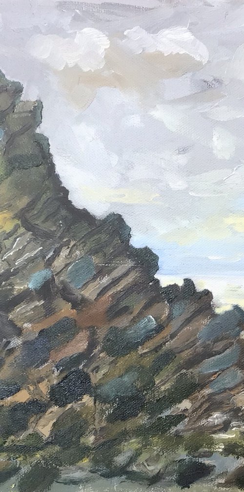 Rocky coastline by Julian Lovegrove Art