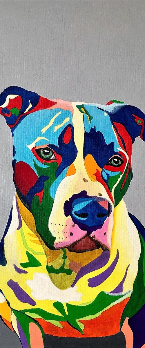 OLLIE by Lucyanne Terni
