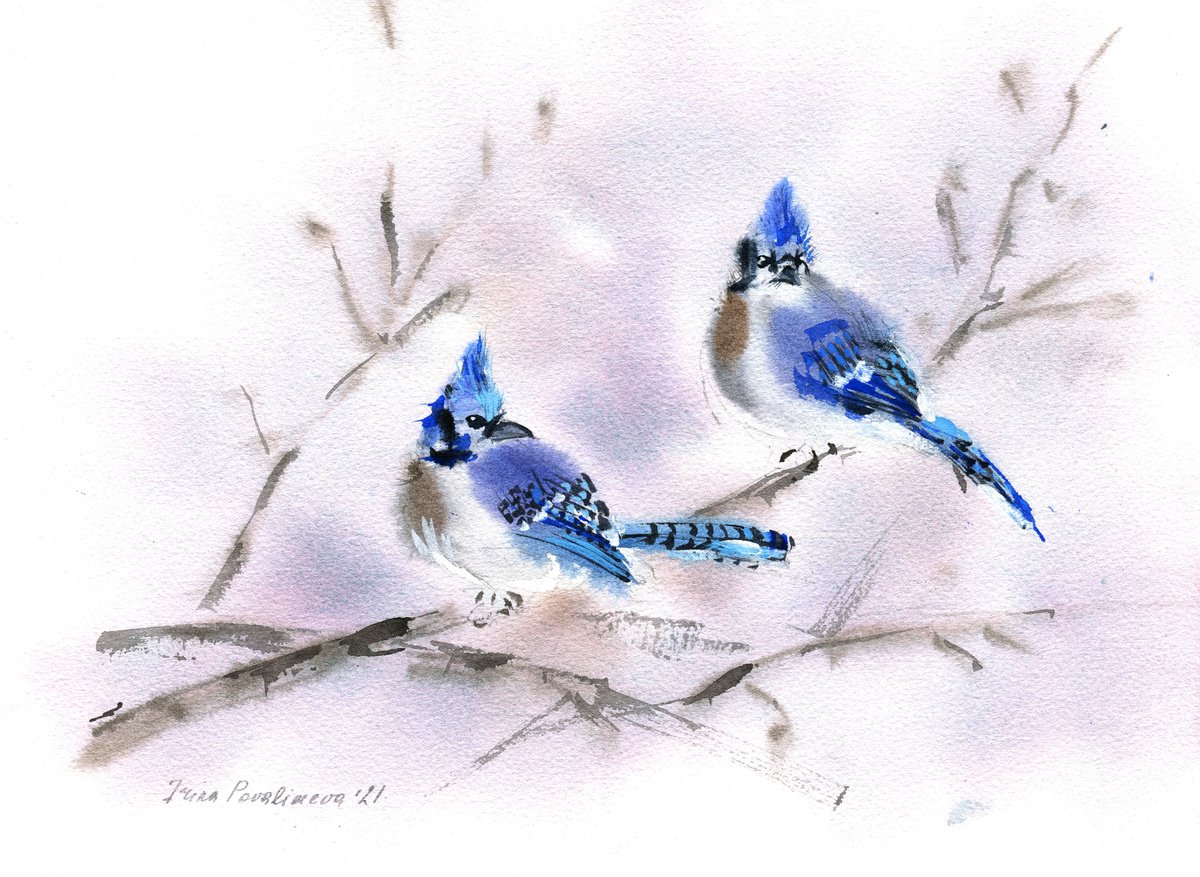 Blue jays original watercolour painting with blue birds on branch, farmhouse painting deco... by Irina Povaliaeva